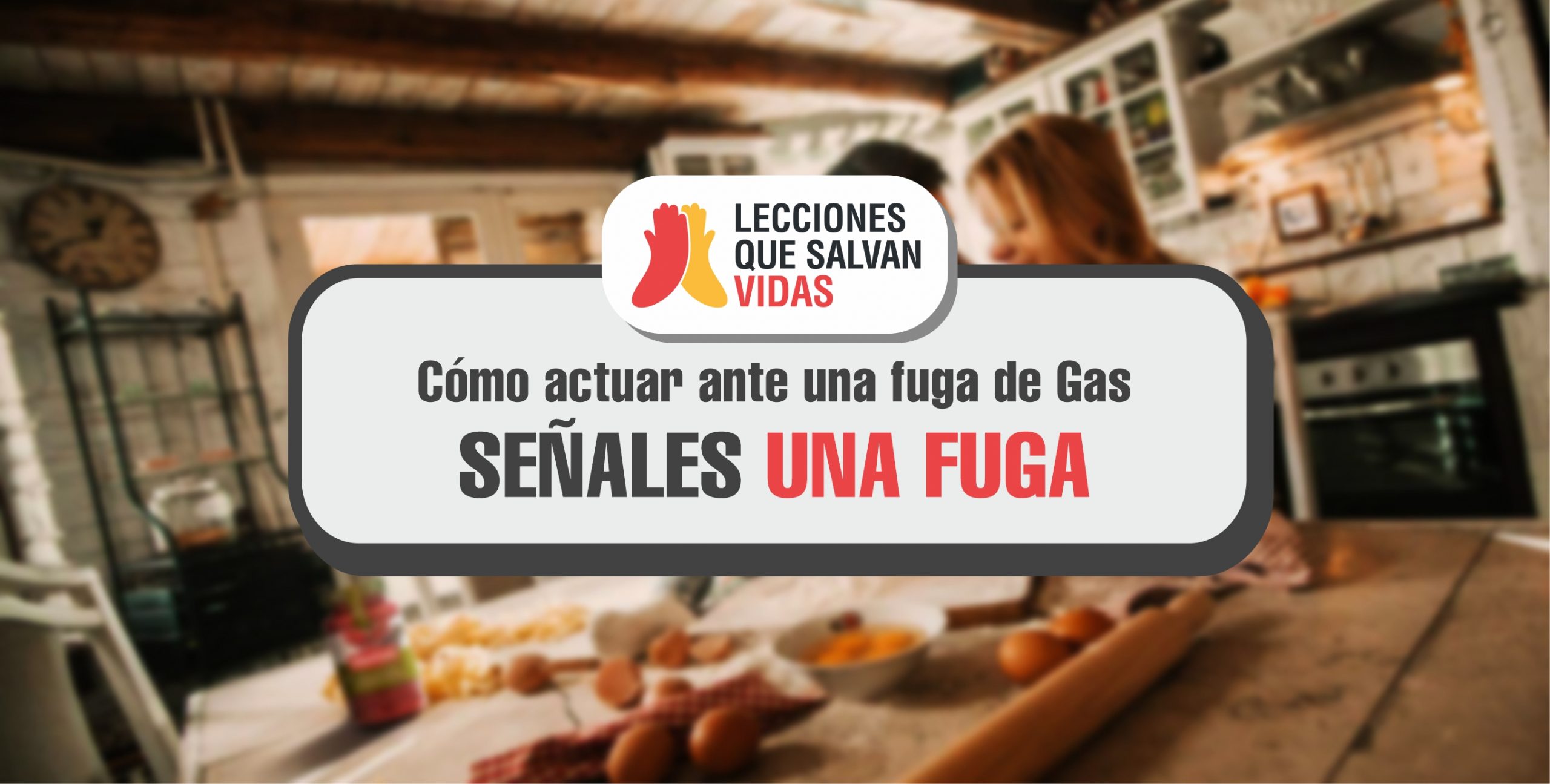 diseño caratula SEÑALES DE FUGA DE GAS 001